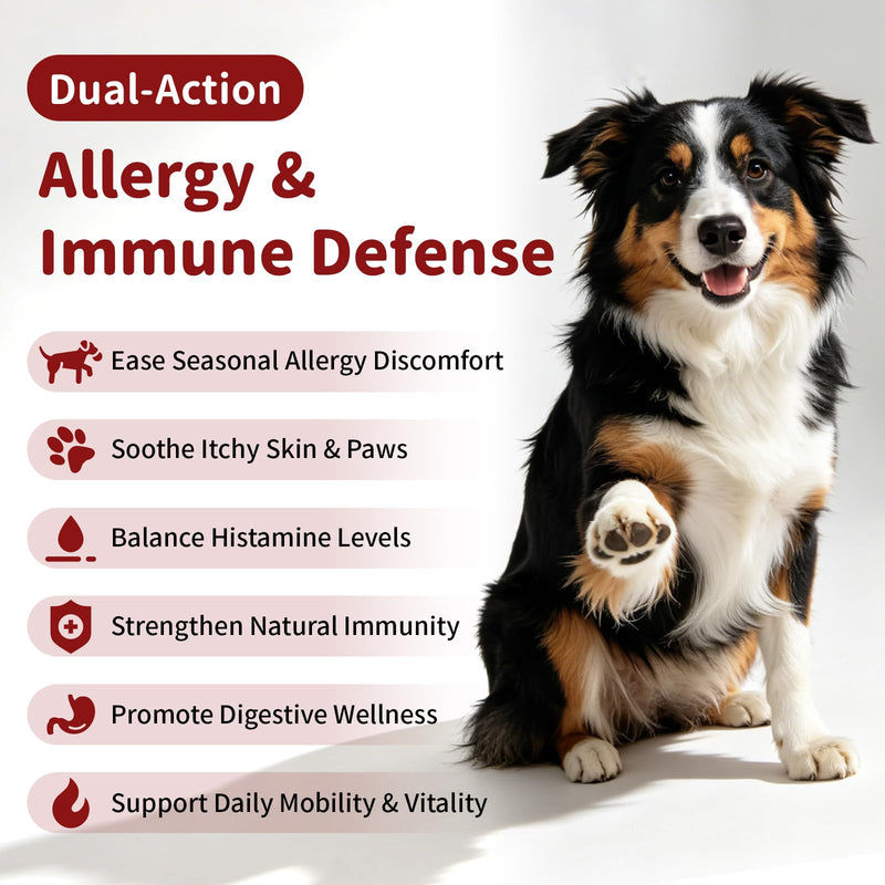 Dog Allergy Chews - Paw Licking, Seasonal Allergy & Itch Relief - Probiotics for Dogs Immune & Gut Health with Turkey Tail Mushroom, Pumpkin - Bacon Flavor - 90 Count 90 Count (Pack of 1)