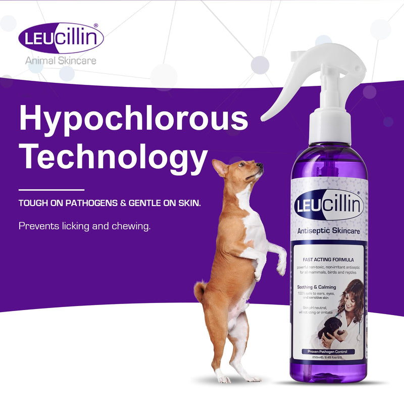 Leucillin Natural Antiseptic Spray - Antibacterial Antifungal Antiviral for Dogs Cats All Animals Itchy Skin Minor Wound Care and Skin Health | 250ml 250 ml (Pack of 1)