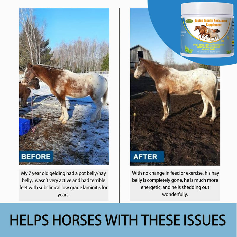 Insulin Resistance Supplement for Horses,Supporting Horses with Elevated Insulin Levels,Laminitis,Cushing's Syndrome,Chronic Sore Feet,Back to Pasture,0.44 lbs - BeesActive Australia