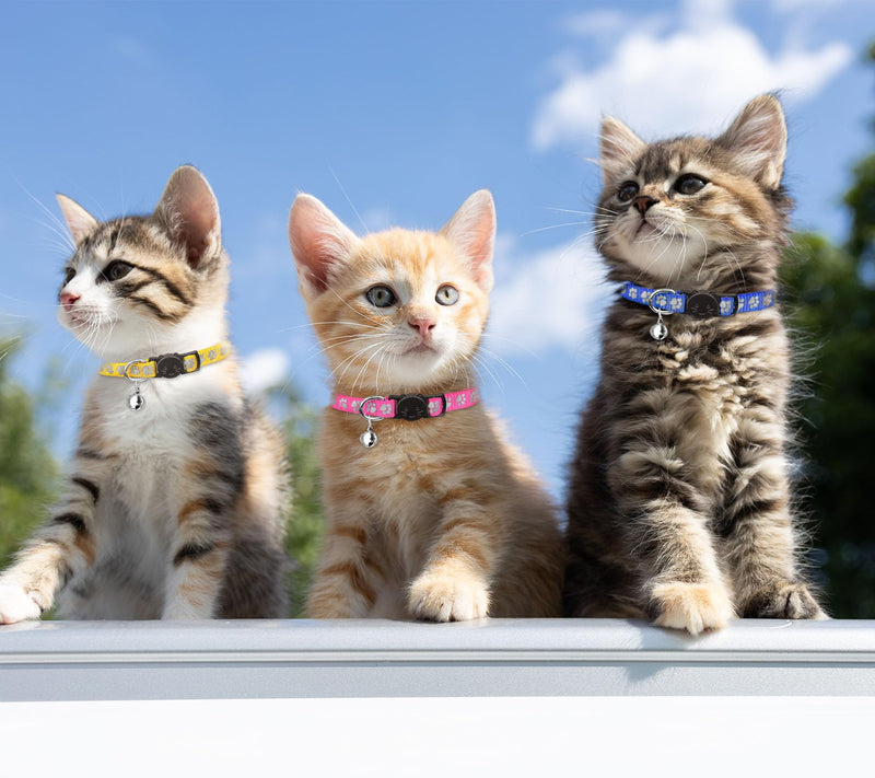 16 PCS Breakaway Cat Collars with Bells Reflective Cat Collar Safety Nylon Kitten Collars Cat Collars for Girl Boy Cats(7.5"-12.6") Standard(7.5" - 12.6") - BeesActive Australia