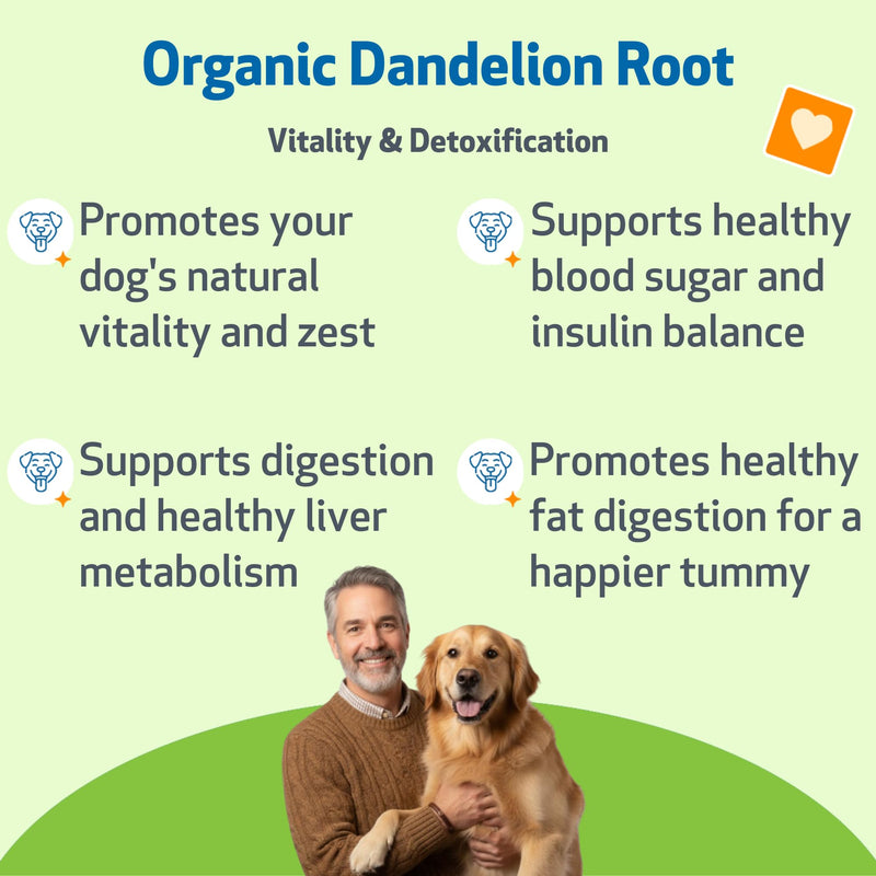 Pet Wellbeing Organic Milk Thistle & Organic Dandelion Root for Dogs - NASC Certified & Vet-Formulated Liver Support, Bile Flow, Digestive & Metabolic Wellness Bundle, Natural Bacon Flavor, 2 (2 oz)