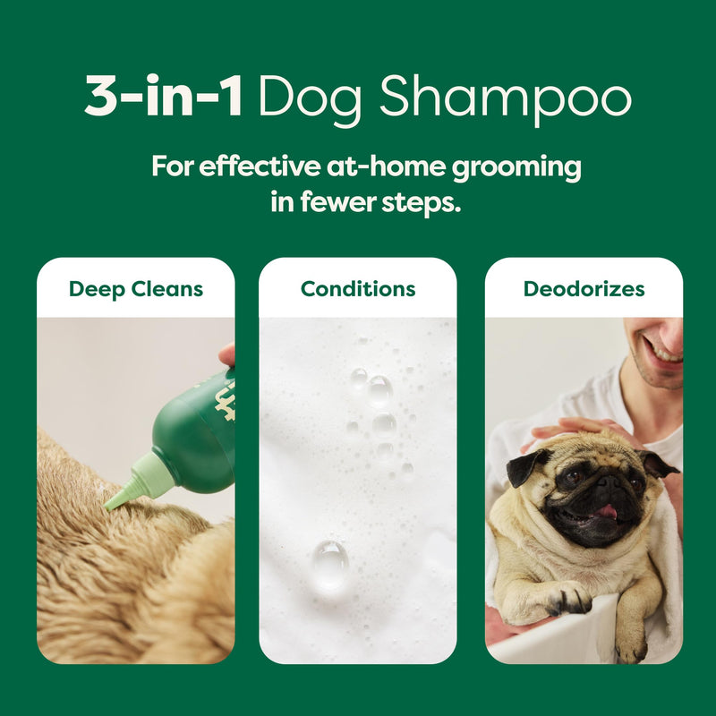 Earth Rated Coat-Specific 3-in-1 Short-Haired Dog & Puppy Shampoo, Conditioner & Deodorizer, Formulated to Moisturize and Tackle Shedding, Refreshing White Tea & Basil Scent, 16 oz. Short Coat - BeesActive Australia