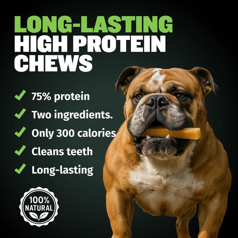 Bully Max High Protein Power Dog Chews – 75% Protein, All-Natural Long Lasting Yak Chews for Aggressive Chewers - Grain-Free Dental Dog Food Treats for Small, Medium & Large Breed Dogs - Lime, 3 Pack 1 Count (Pack of 3)