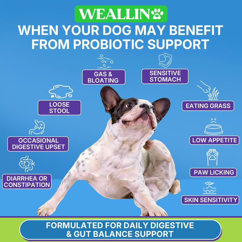 Cat Hairball Support Chews (500 Chews) + Dog Probiotics Chews (200 Chews) Bundle - Hairball Control for Cats & Digestive, Gut Health, Itchy Skin Relief for Dogs, Chicken Flavor Cat Treats + Probiotics