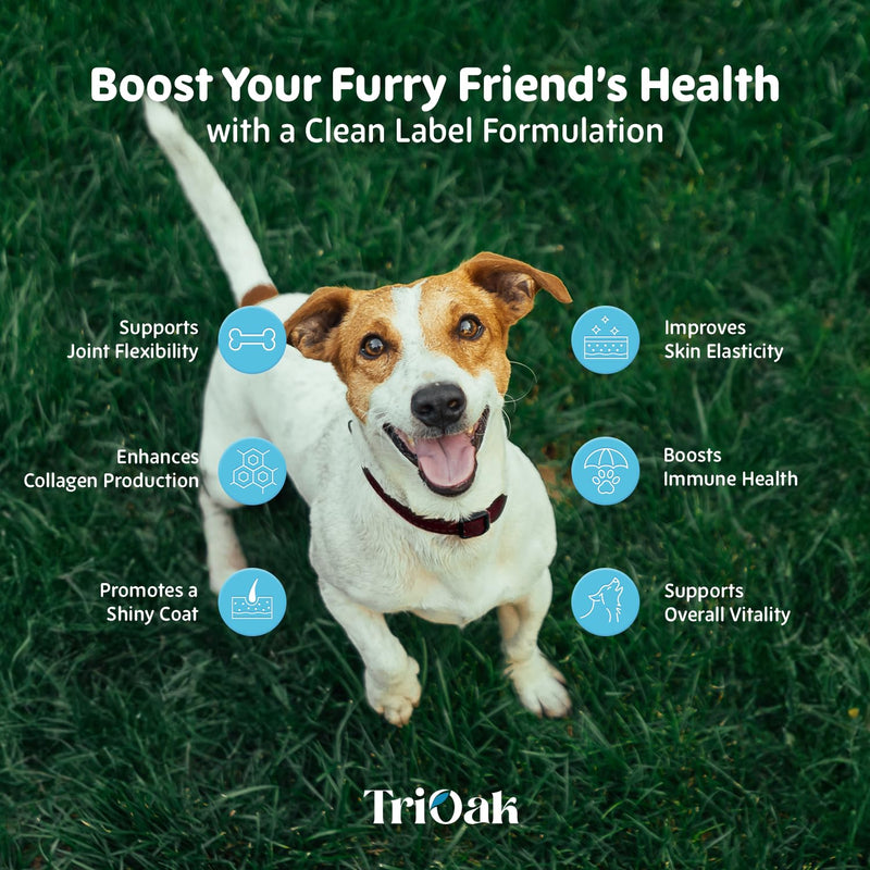 Liquid Collagen Supplement Drops for Dogs: Hip & Joint Support, Skin & Coat Health in One Daily Supplement with Bioactive Collagen Peptides - Pure Formula Support for All Dog Sizes & Ages