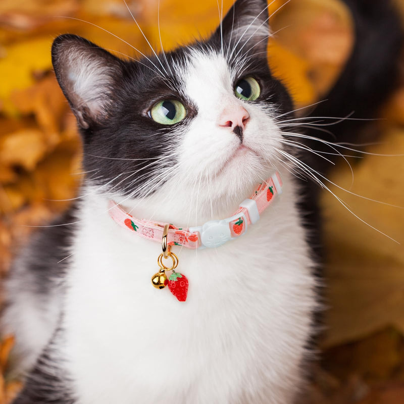 2 Pack Cotton Breakaway Cat Collar,Pink Strawberries and White Heart Shaped Pendant Kitten Collar Cute Cat Collar with Bell,Ideal for Girl Cats Boy Cats Pink&White - BeesActive Australia