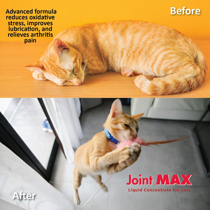 Liquid for Cats – Joint & Mobility Support Supplement with Glucosamine, MSM, Chondroitin, Omega-3 – Helps Ease Stiffness & Discomfort – 2 fl oz – Made in USA – NASC Certified