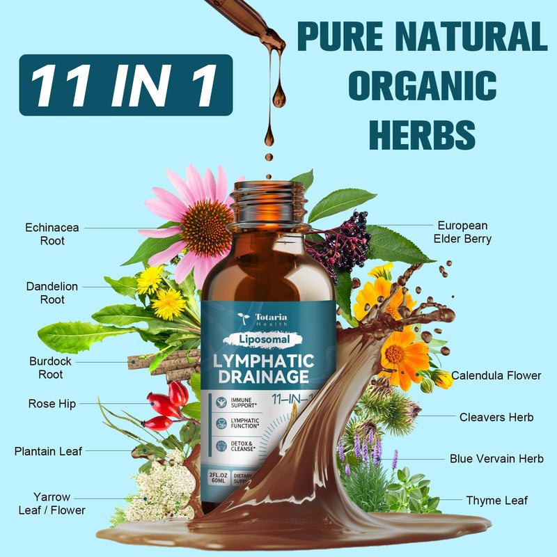Liposomal Lymphatic Drainage Drops - 11 in 1 Organic Lymphatic Drainage Supplement with Burdock Root, Echinacea, Elderberry, Calendula, Cleavers Herb, Dandelion Supports Lymphatic Health 2 FL.OZ 2 Fl Oz (Pack of 1) - BeesActive Australia