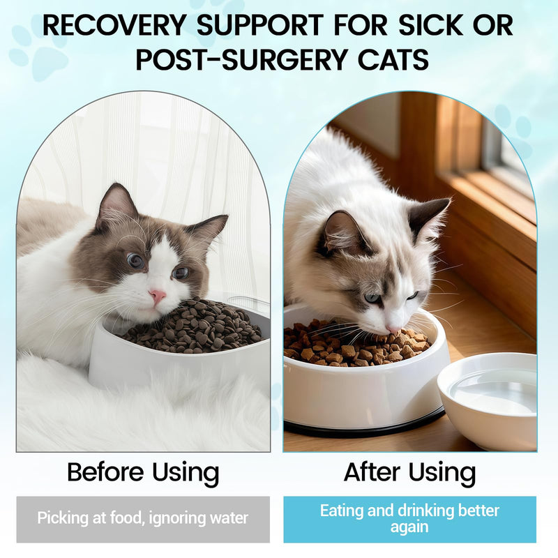 Recovery & Energy Support for Cats | Cat Appetite Stimulant & Hydration Supplement, Cat Electrolytes and Weight Gainer for Sick, Senior, Post-Surgery | Boosts Eating, Drinking&Strength in Weak Felines