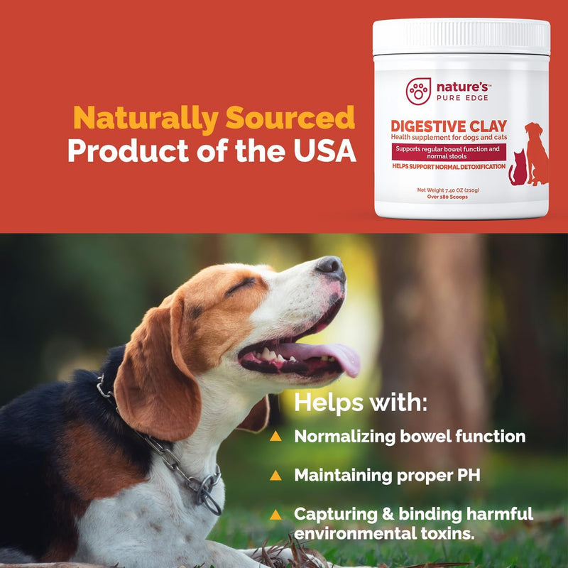 Rx Clay for Digestion for cat and Dog Stomach Relief. Cat and Dog Anti Diarrhea Medication. Cat and Dog Stomach Upset Medicine for cat and Dog Diarrhea. Extra Large 210 Grams. Veterinary Grade. - BeesActive Australia