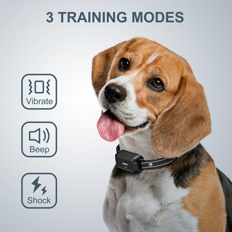 Dog Training Collar - Electronic Dog Shock Collar with Remote 1/2 Mile, E-Collar with Portable Remote Control, 3 Training Modes and 4 Channels, Security Lock for All Breeds, Sizes Black - BeesActive Australia
