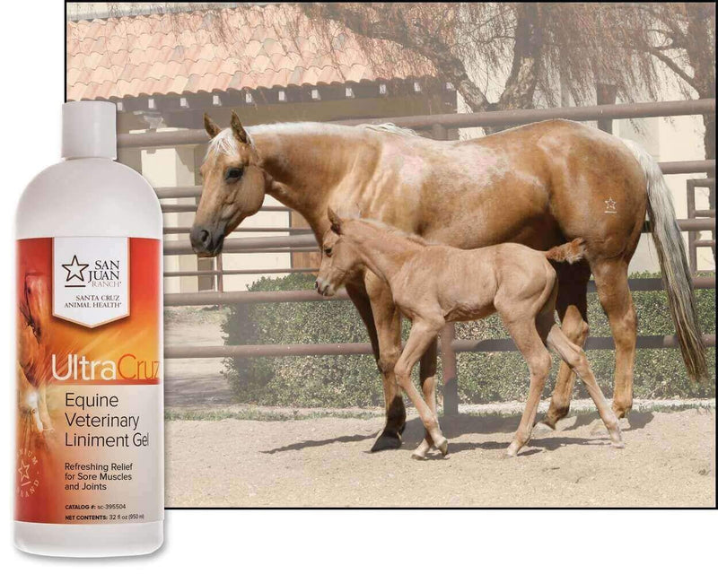 UltraCruz Veterinary Liniment Gel for Horses, 32 oz - BeesActive Australia