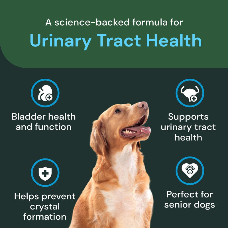 Vetriscinece Veterinary Strength UT Health Chews - Clinically Studied Supplement for Dogs - Supports Canine Urinary Wellness -Naturally Sourced - Features GanedenBC 30-60 Count, Chicken Liver Flavor
