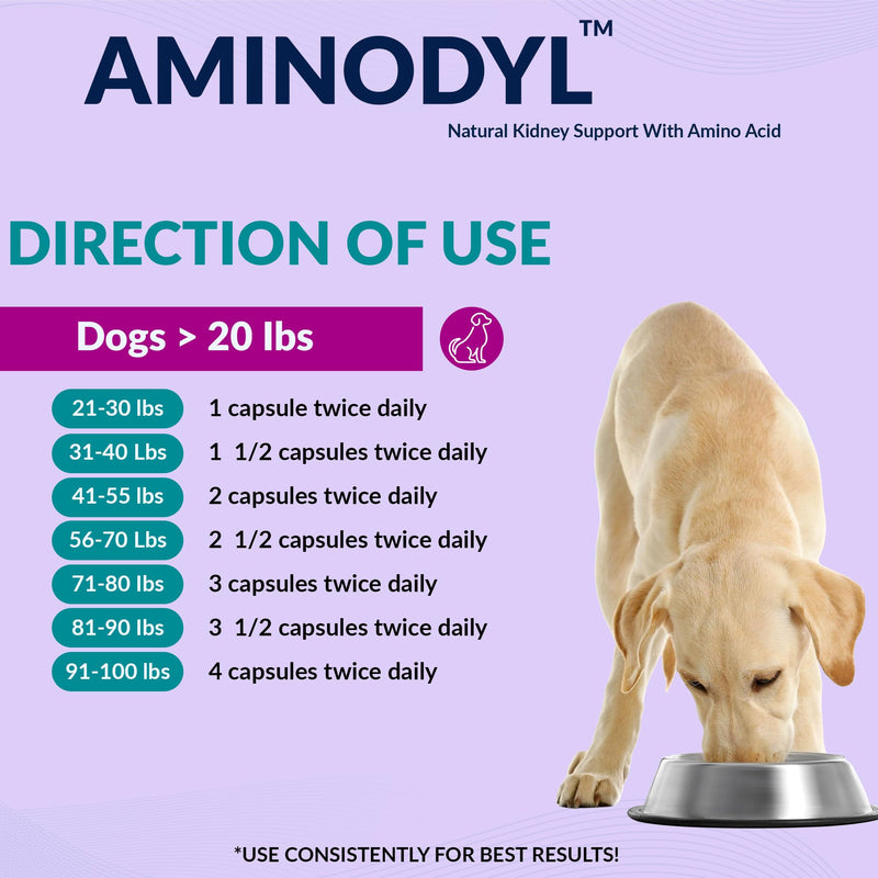 Aminodyl™ Kidney Support Supplement 1100mg for Dogs - Supports Natural Kidney Function with Amino Vastly Promotes Health, Wellbeing & Vitality of Kidneys 120 Sprinkle Capsules. Made in U.S.A Dogs >20lbs (120 Caps) 1100mg
