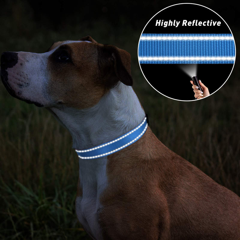 TagME Small Dog Collar, Adjustable Reflective Nylon Dog Collar with Quick Release Buckle, Sky Blue, 5/8" Width Small (Pack of 1) - BeesActive Australia