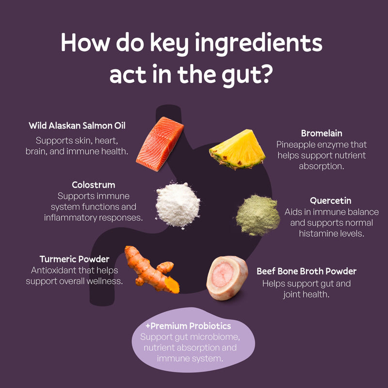 Oliver’s Gut™ Allergy & Immune Chews. Immune Support · Dog Supplement for Itchy Skin and Allergy Aid. Quercetin, Wild Alaskan Salmon Oil, Colostrum, Turmeric. Beef - 120 Count.