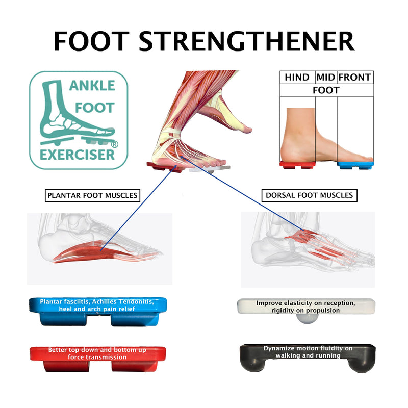 Ankle Foot Exerciser¬Æ Ankle Strengthener for ankle sprain relief, Foot Strengthener for plantar fasciitis; Ankle mobility, Posture corrector, Pilates board for home - BeesActive Australia