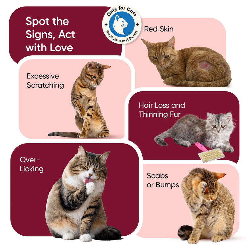 animigo Flea & Tick Powder for Cats - Works from Within - Delicious Chicken Flavour - Added Vitamins, Minerals & Amino Acid - Alternative to Cat Flea Tablets, Shampoo & Spray - Easy to Mix in Food