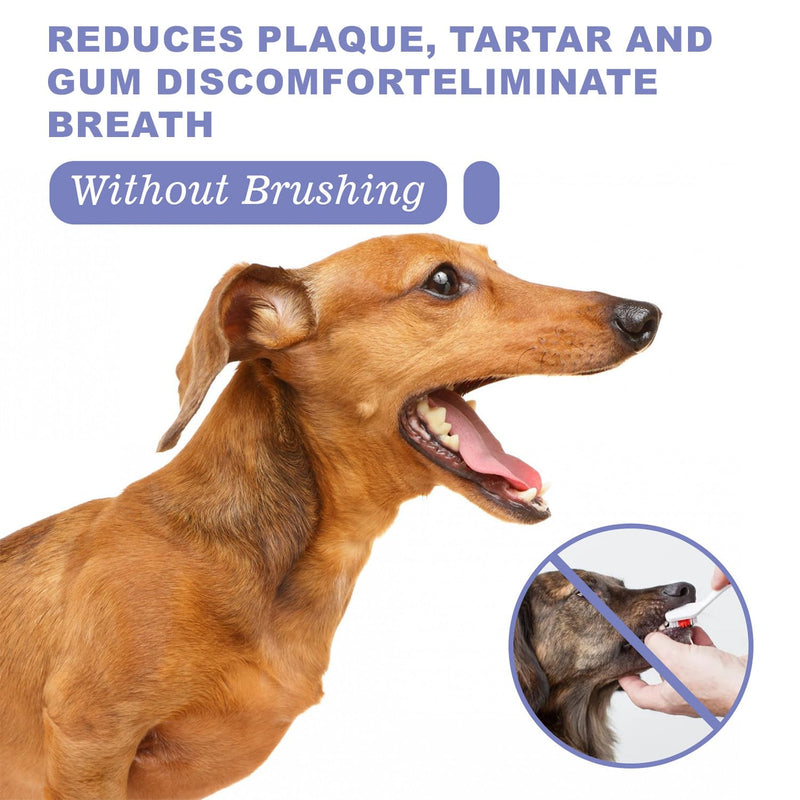 JoanofArc Dog Dental Care Spray, Oral Care Spray for Dogs, Breath Freshener & Teeth Cleaning Spray, Reduce Tartar Freshen Breath, Pet Health Supplies Teeth Spray, No Brushing, 30ml