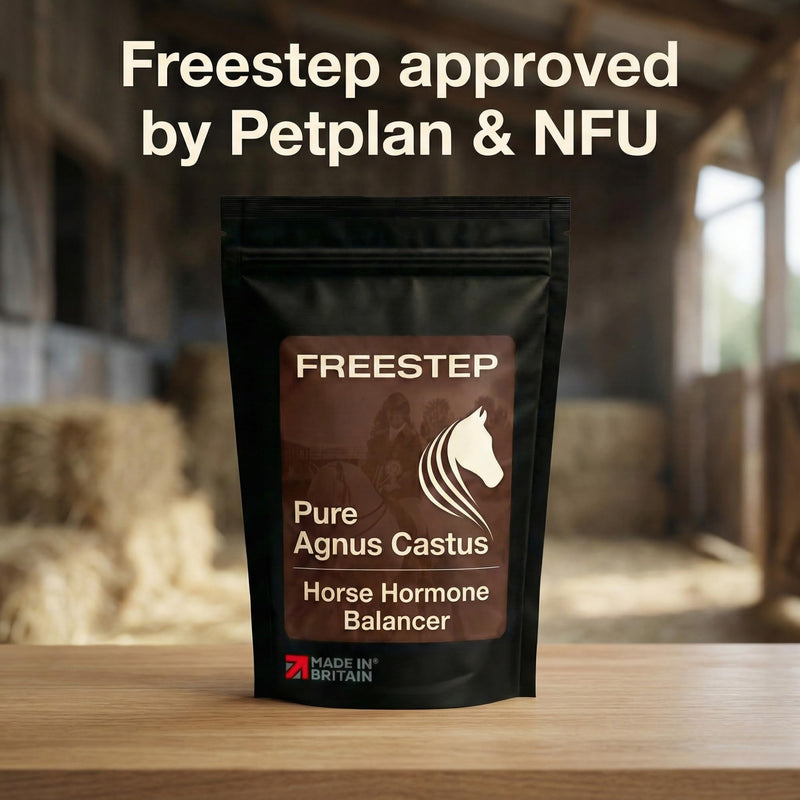 Pure Agnus Castus | Natural Mare Calming and Hormonal Support for Horses | Pure Vitex Chasteberry Powder for Behaviour Balance and Moody Mares | Horse Temperament 500g | 4 Month Supply