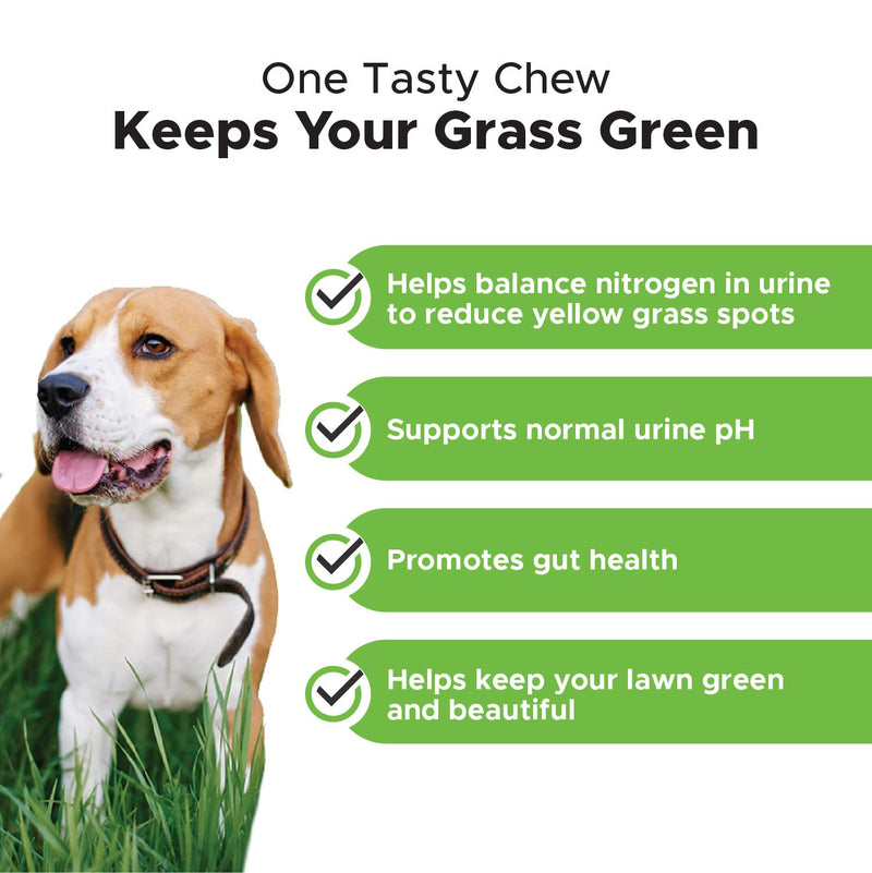 Flea & Tick Support + Grass Green Virtual Bundle - Natural Flea and Tick Soft Chew for Dogs, Pest Defense, Oral Flea Pills for Dog, Itch Relief, Digestive Enzyme for Dogs, Dog Pee Grass Lawn Spot S