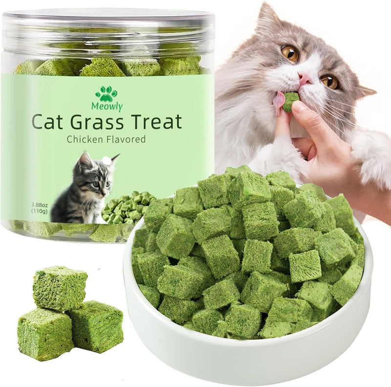 Meowly 110g Cat Grass Treats for Teeth Cleaning and Hairball Removal, Natural Dried Cat Grass Teething Stick Snacks for Cats 3.8 Ounce (Pack of 1)