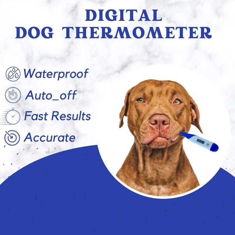 Digital Dog & Cat Thermometer - Veterinary Pets Thermometer for Dogs & Cats | Accurate & 10 Seconds Fast Temperature Detection with 3-Site Measurement | Waterproof Animal Thermometers - BeesActive Australia