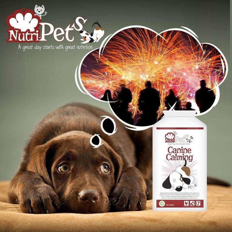 Canine Calming - Premium Quality Formula - Relieves Stress & Anxiety Associated with Loud Noises, Also Helps With Socialising, Hyperactivity & Aggression - 120 Tablets up to 120 Days Supply