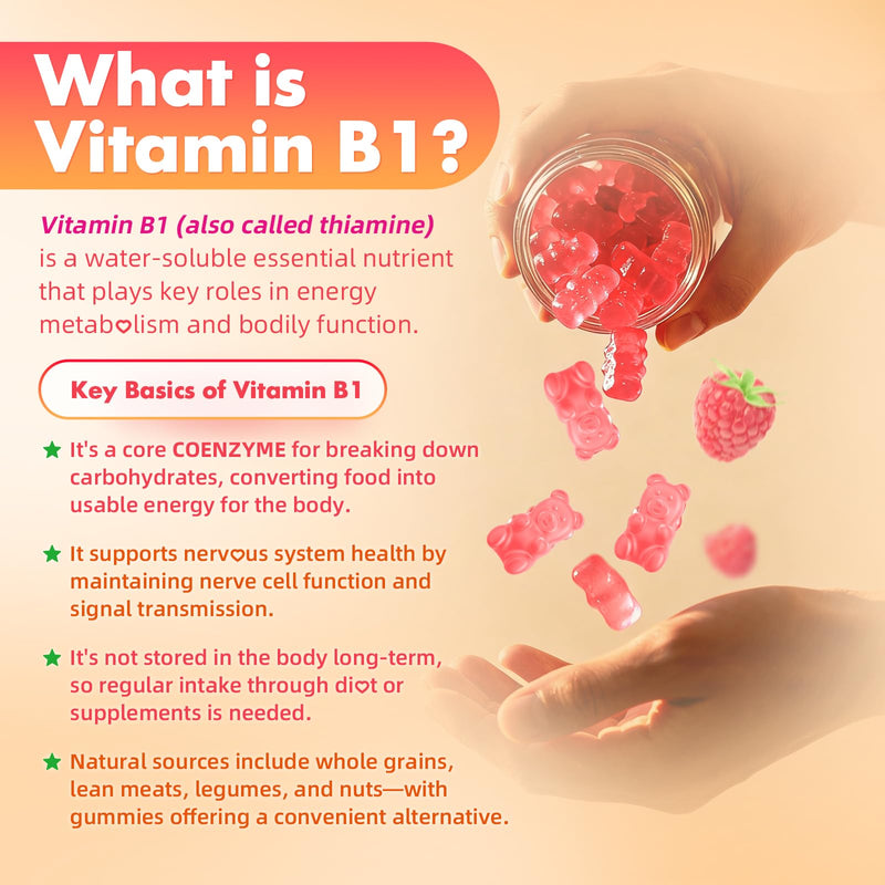 MEENCCD Vitamin B1 Gummies 500mg, Thiamine B1 Supplement Supports Energy Production, B1 Vitamin for Adults & Kids, Sugar-Free, Vegan, Raspberry Flavor, 60 Count 60 Count (Pack of 1)