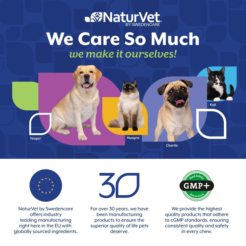 NaturVet Pure Pumpkin Powder for Dogs – 225g 100% Natural, Rich in Prebiotics High-Fibre Digestive Support for Firm Stools & Gut Health – Additive-Free - 90 Servings 225g Powder