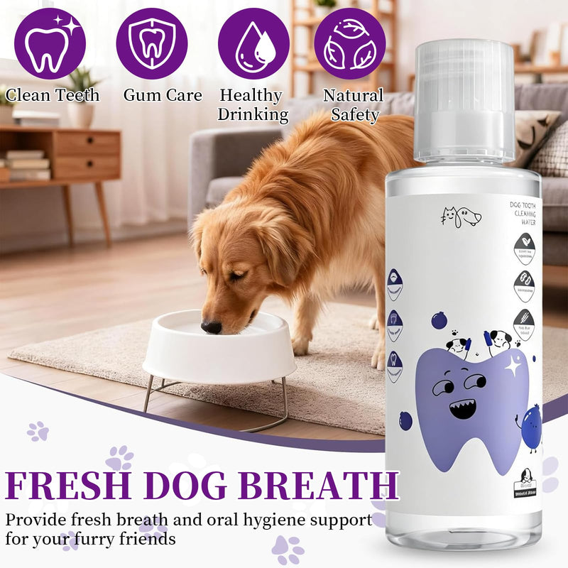 2 PCS PawBright Dental Plus,Pet Oral Care,Natural Flavorless Teeth Cleaning Mouthwash to Fight Tartar,Promote Healthy Gums & Freshen Breath,for all Pet