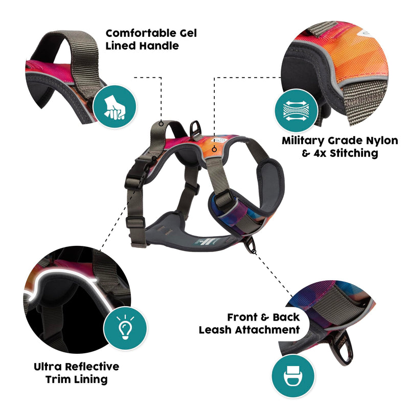 Embark Urban Dog Harness, No-Pull Reflective Trim Dog Harness for Small, Medium & Large Dogs - Military Grade Nylon, 2 Leash Clips & Gel Lined Handle. Soft & Padded Puppy Dog Vest for Any Breed M (Chest: 24-28") Aurora - BeesActive Australia