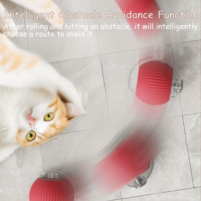 Interactive Cat Toys Balls, Interactive Rolling Dog Ball, Cat Toys Ball for Indoor Cats with Long Tail Fast Rolling on Carpet, Smart Automatic Rolling Pet Ball for Cat and Dog - BeesActive Australia