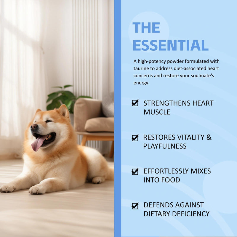 Doggy Supps Taurine - Taurine Supplement for Dogs - Immune Support, Boost Energy & Vitality, Skin & Coat Health for Heart, Vision & Daily Wellness - 200 Grams (1pc) 1pc