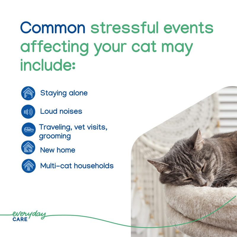 Virbac ZENIFEL™ Gel Diffuser | Managing Stress-Related Behaviors in Kittens & Cats - No Electricity Needed - Lasts Up to 2 Months