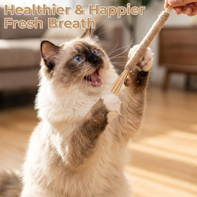 7 Pcs Cat Chew Toys Cat Toy, Rope & Silvervine Sticks, Cats Toys for Indoor Cats, Kitten Teething Dental Care, Teeth Cleaning & Boredom Relief