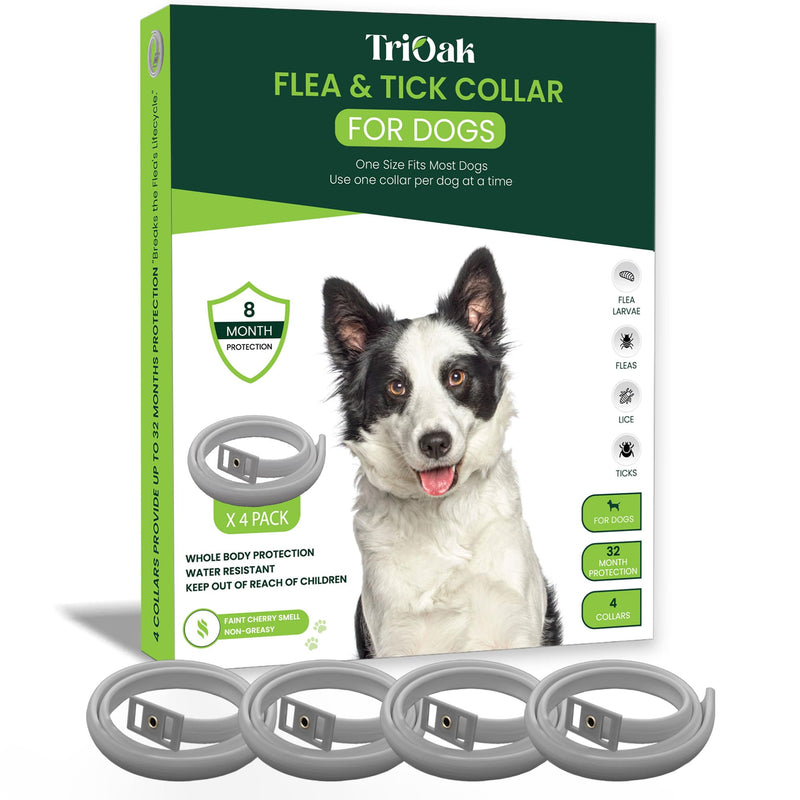 Flea and Tick Prevention Collar for Dogs, Adjustable Dog Flea and Tick Treatment for Puppy, Small, Medium, Large, and Extra Large Dogs, Best Natural Flea and Tick Collars (Gray Collar)