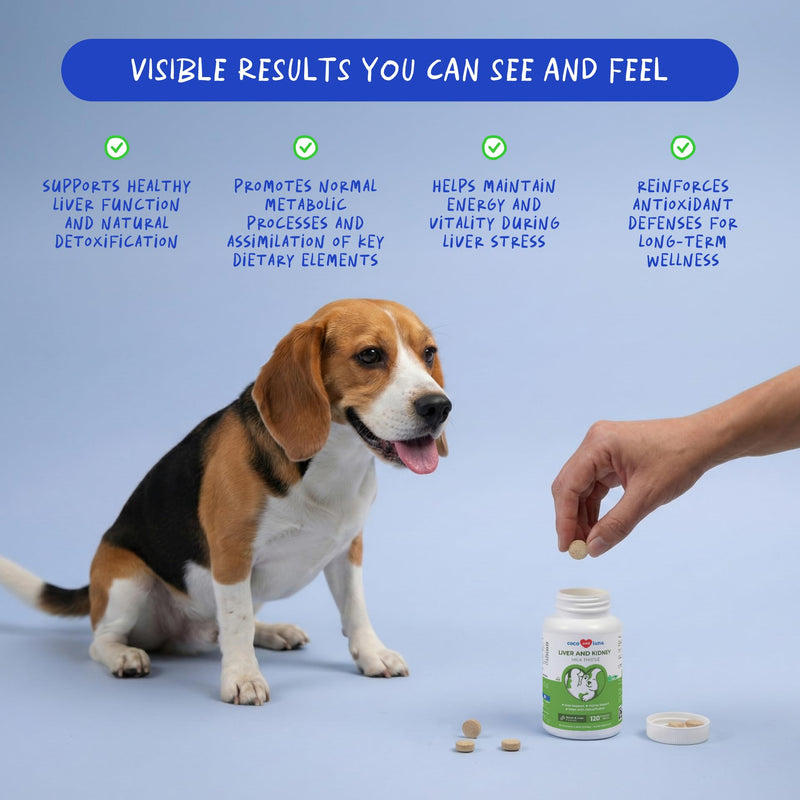 Liver and Kidney Support for Dogs & Liver and Kidney Support Powder for Cats