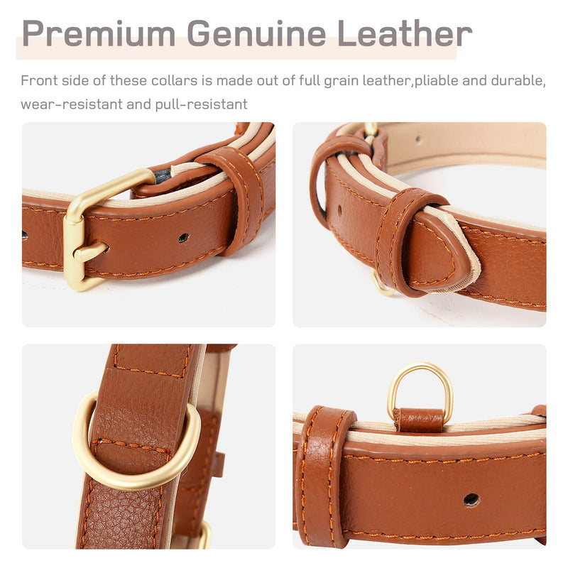 HEELE Dog Collar, Dog Collar with Padded and Genuine Leather, Adjustable Collar for Puppies, Medium, Small Dogs, Brown, M M (Pack of 1) - BeesActive Australia