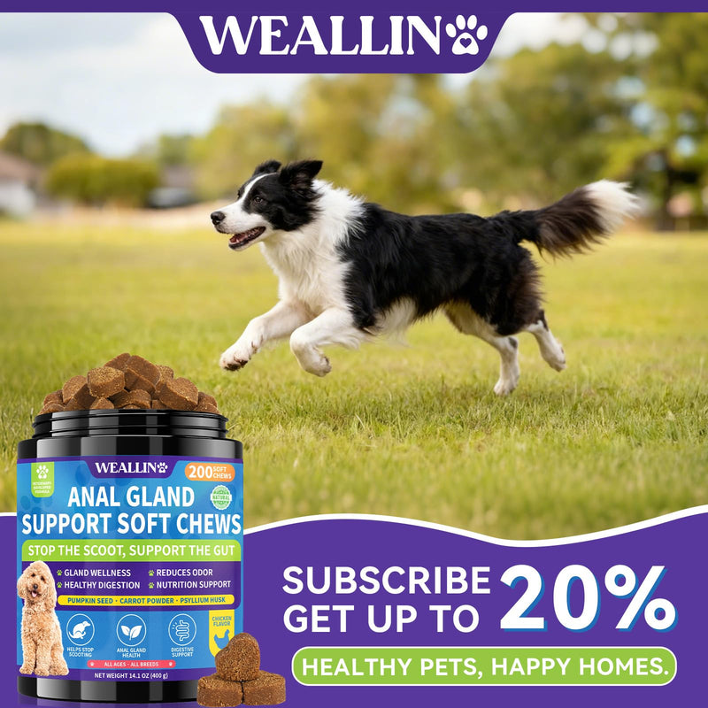 Anal Gland Chews for Dogs - No Scoot for Dogs with Pumpkin, Inulin & Probiotics for Dogs Digestive, Supports Anal Gland Healthy & Bowel Function Fiber Supplement for Dog Chicken Flavor 200 Soft Chews