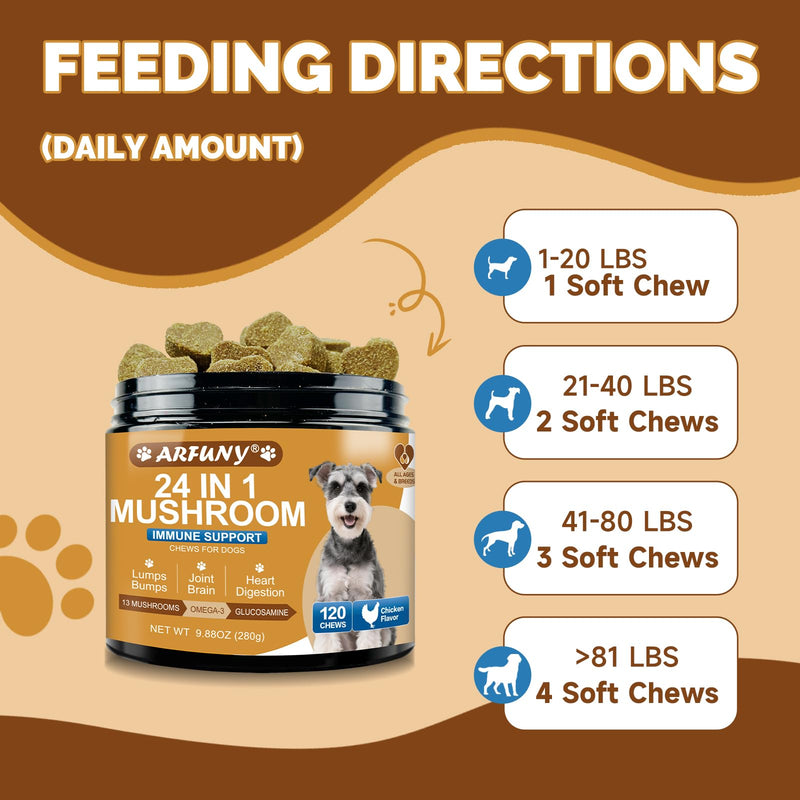 Mushrooms for Dogs - Turkey Tail Mushroom for Dogs - Gut, Skin, Joint, Immune Health- Dog Lumps & Bumps - 13 Organic Mushrooms Turkey Tail, Reishi, Lions Mane, Glucosamine, MSM - Chicken Flavor 1 Pack