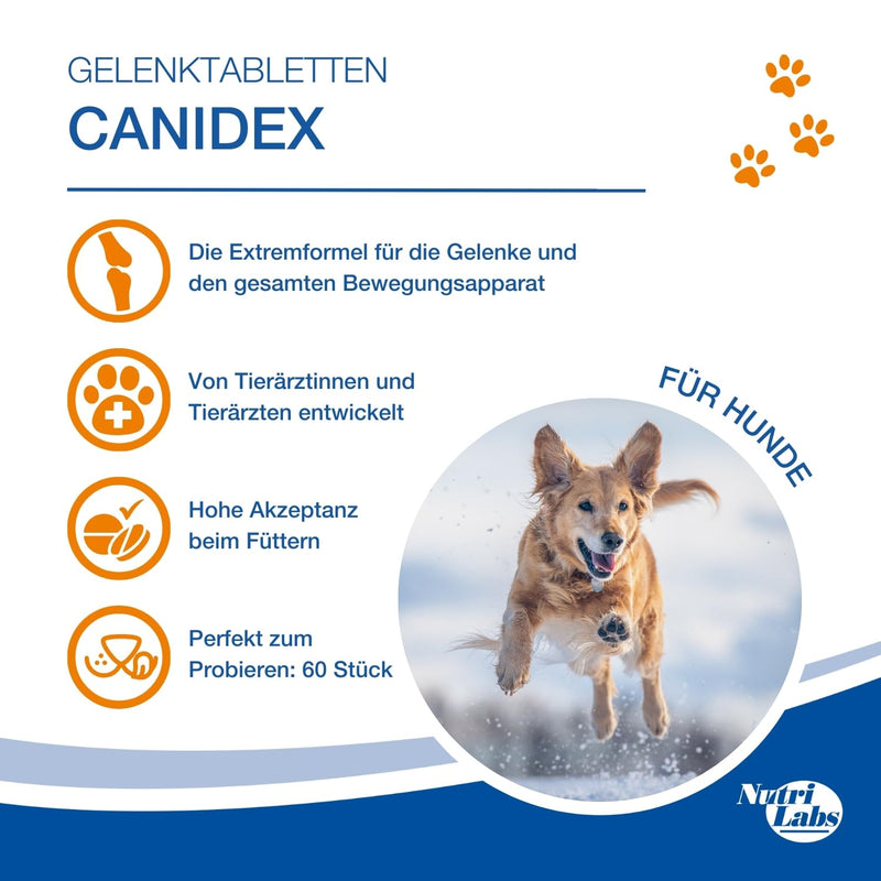 NutriLabs Canidex® joint tablets for dogs 60 PCS. - with MSM, hyaluronic acid, glucosamine, UVM. - Health products for dogs - Food supplements for dogs - Devil's claw dog chewable tablets 60 pieces - BeesActive Australia