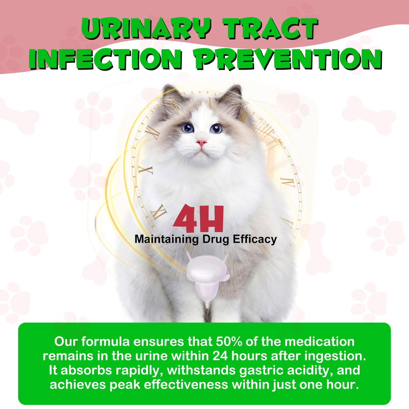 Feline Urinary Tract Health 2Pack, Cat UTI Remedy, Natural Herbal Supplement 4 fl oz, Supporting Regular Care for Urinary Health 2 Pack