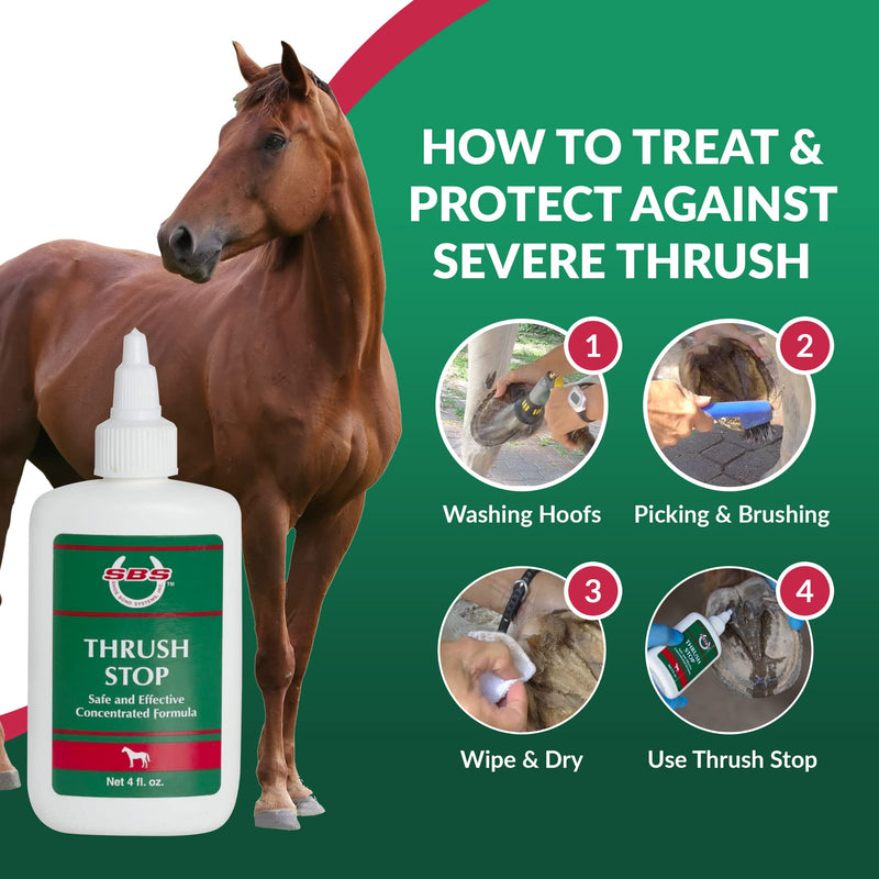 by SBS Equine | Thrush Treatment for Horses for The Best Horse Care | The Horse-Journal’s Product of The Year and #1 Pick Against Hoof Thrush (4 oz) 4oz - BeesActive Australia