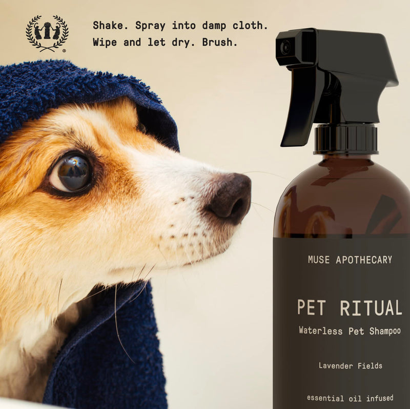 Muse Apothecary Pet Ritual Aromatic Waterless Shampoo for Pets - No Rinse Dog Shampoo - Waterless Shampoo for Cats - Waterless Dog Shampoo for Large Dogs - Essential Oils Infused, 16oz Fresh Bouquet 16 Fl Oz (Pack of 1) - PawsPlanet Australia