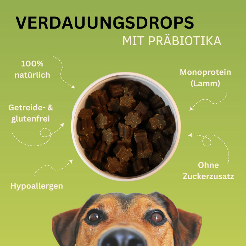 PawNutrio® - Digestive drops with prebiotics for dogs I supports grass and feces eating I diarrhea & heartburn I 100% natural I approx. 120 pieces. I Monoprotein I Hypoallergenic 300 g (1 x can) - BeesActive Australia