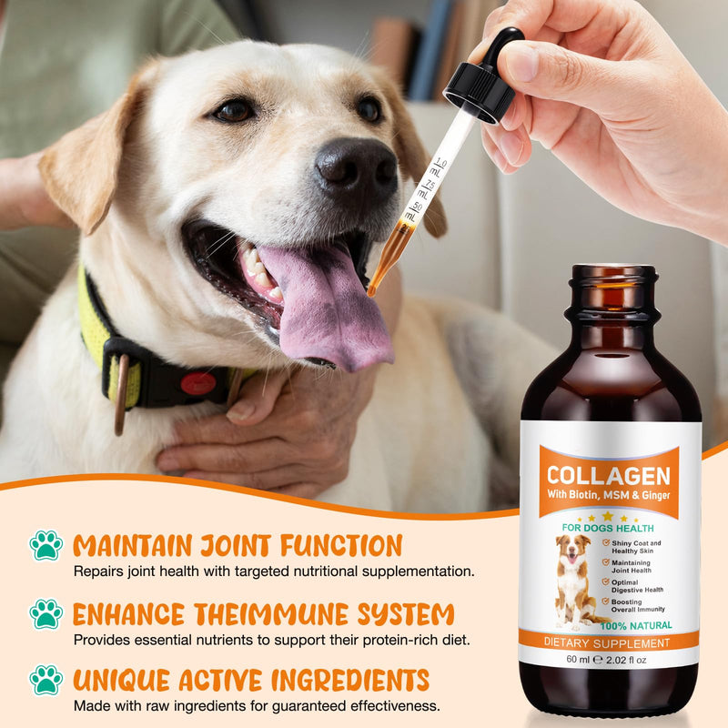 Liquid Collagen for Dogs | Joint Supplement for Dogs Skin & Coat | Itchy Relief & Digestive Health Support | Dog Collagen with Biotin, MSM & Ginger | 60ml Dog Supplements for Hip & Joint Care (2) 2
