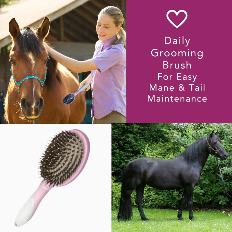 Mane & Tail Horse Grooming Brush, Natural Bristles & Nylon Pins, Detangles & Conditions Thick, Curly or Fine Equine Hair - BeesActive Australia