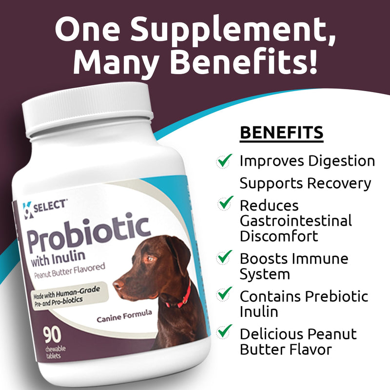 K9 Select Pet Probiotics for Dogs with Inulin – Dog probiotics for Digestive Health & Gut Support with Digestive Enzymes for Dogs, Supports Yeast Balance & Dog Digestive Support – 90 Tablets