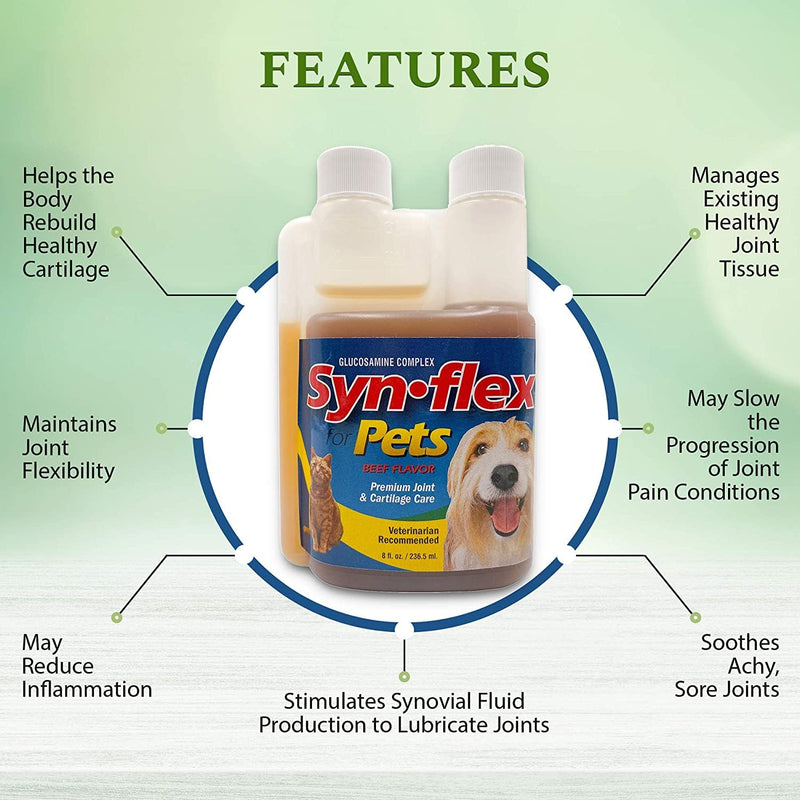 America Synflex for Pets - Liquid Glucosamine Joint Complex for Dogs, Cats - Senior Canine & Feline Chondroitin Juice Care Supplement - Helps Support Joint and Cartilage Health - Beef Flavor - PawsPlanet Australia